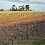 Al Rifugio Divino Agroturismo Belvedere Ostrense