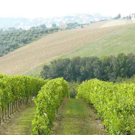 Bauernhof Agriturismo Al Rifugio Divino