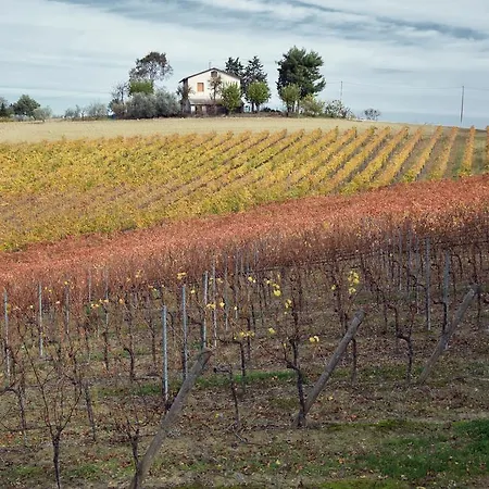 Agriturismo Al Rifugio Divino Farm stay Belvedere Ostrense
